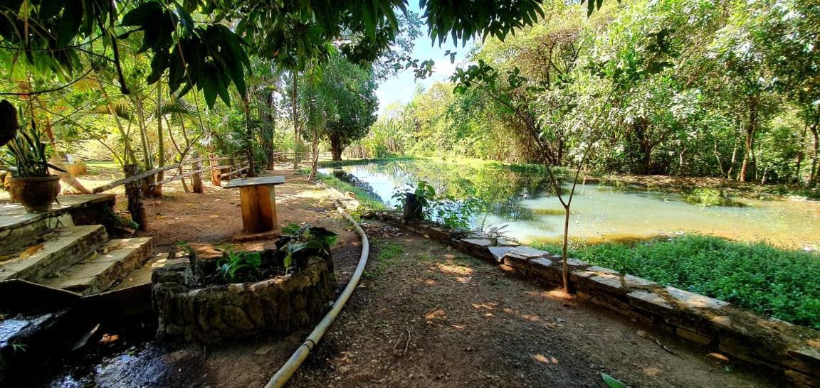 Chacara bica dágua Vila Pirenópolis Exterior foto